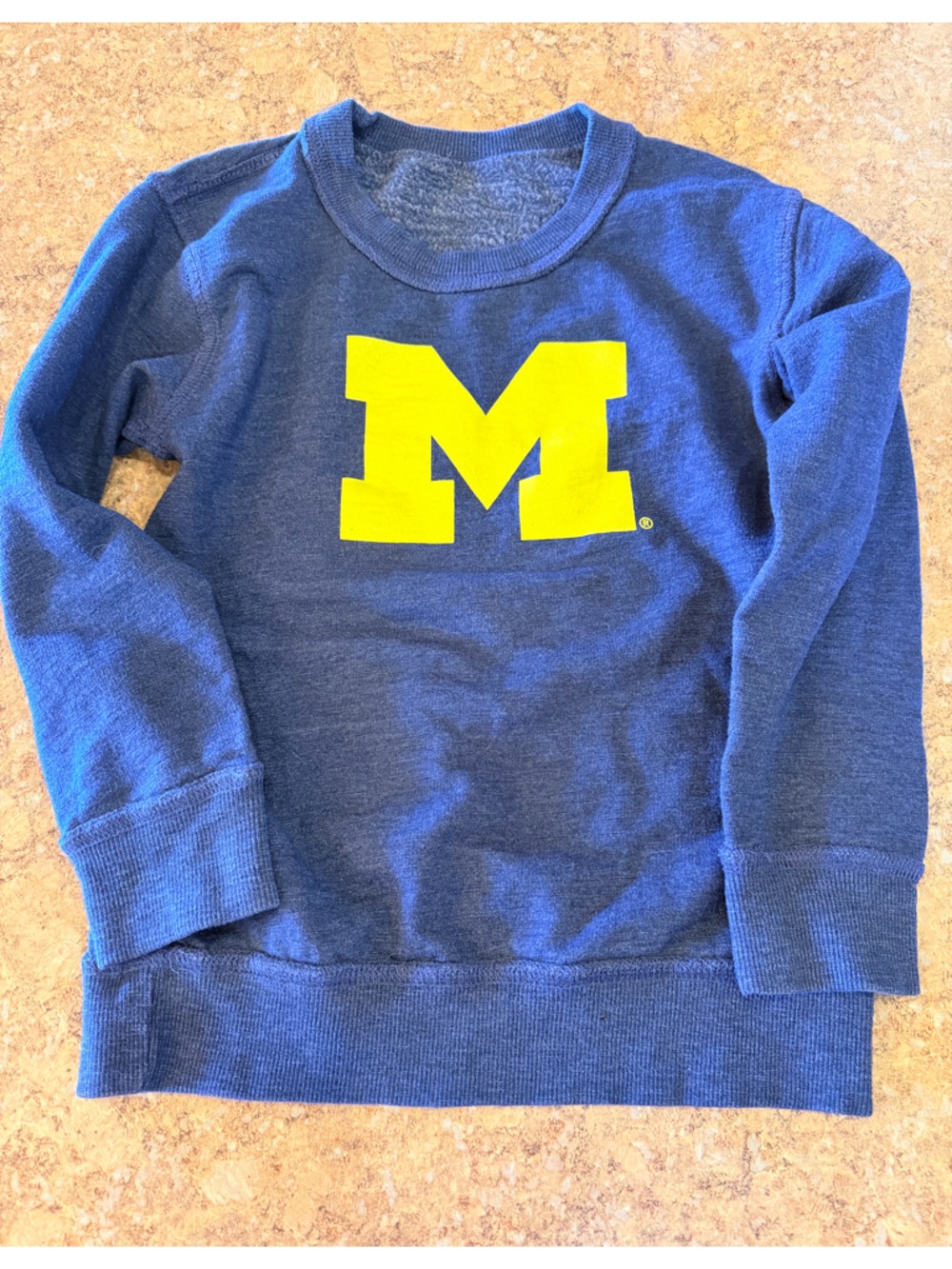 Kids Michigan Reverse-able Sweatshirt